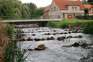 brücke neustadt